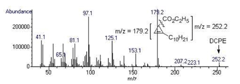 261-g2