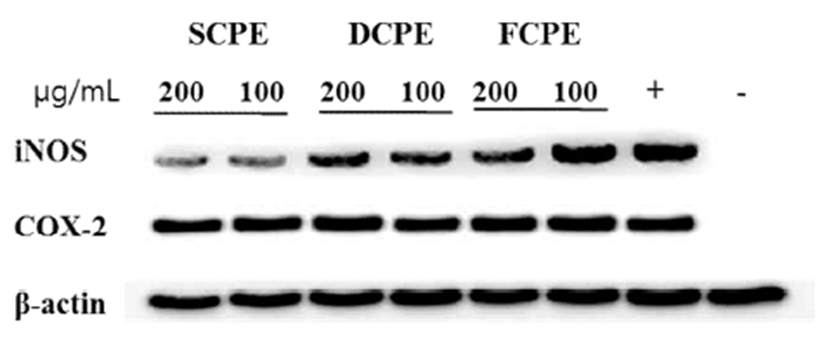 kjfp-23-7-1026-g5