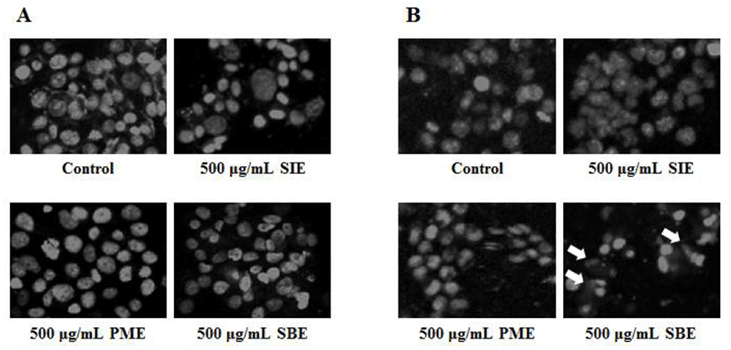 kjfp-23-7-1033-g5