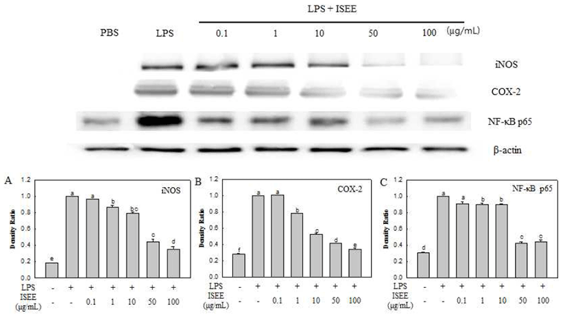 kjfp-24-8-1149-g4