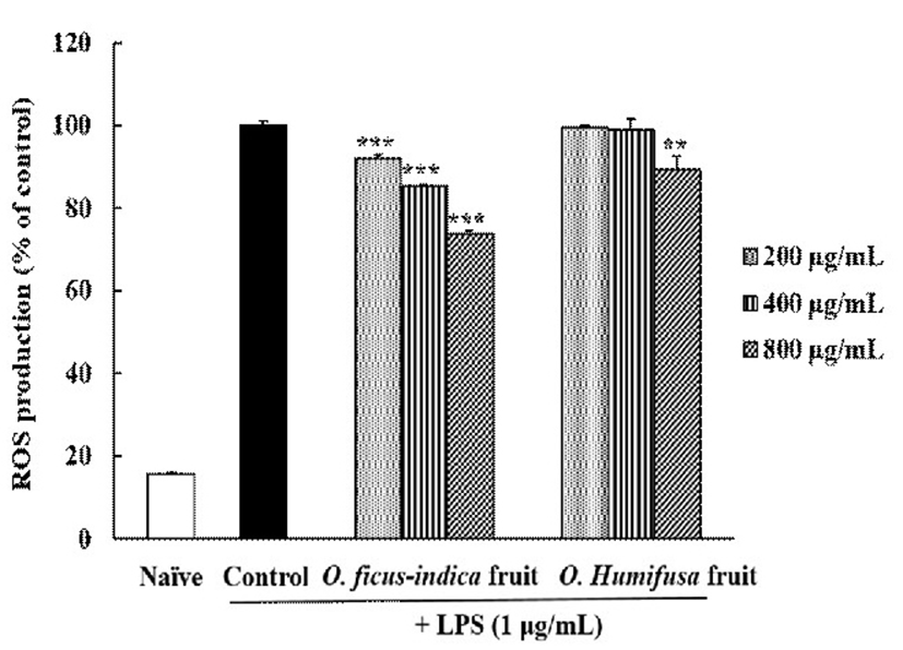 kjfp-25-5-586-g003