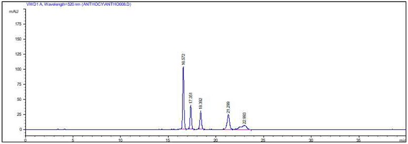 kjfp-26-5-455-g001