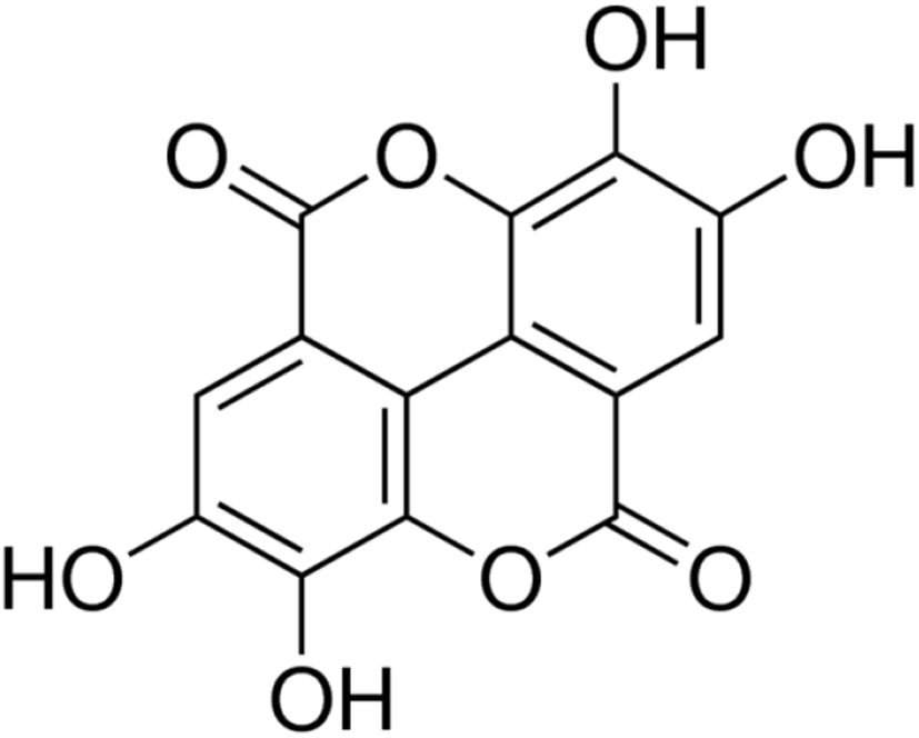 kjfp-28-5-663-g1