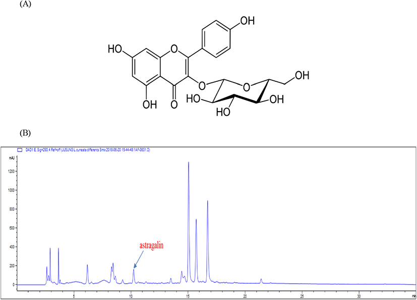 kjfp-28-7-1000-g2